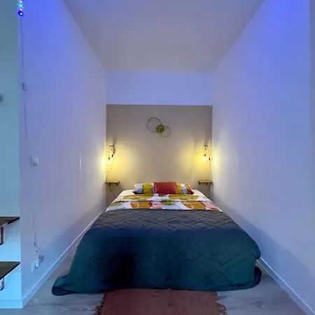 Le Natanigor - Centre Gare Apartment