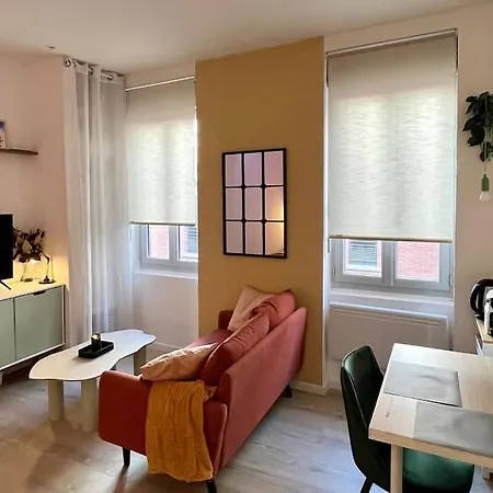 Le Natanigor - Centre Gare Apartment